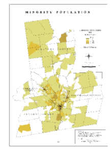 Capital District Minority Population