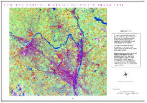 Central Capital District False Color Composite Satellite Image