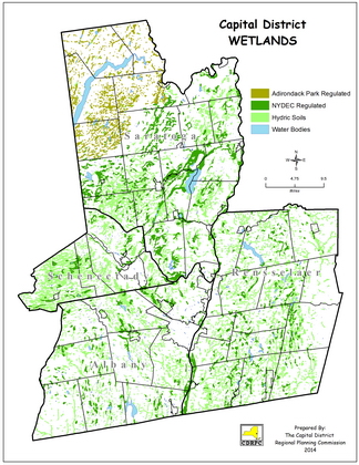 Capital District Wetlands Map